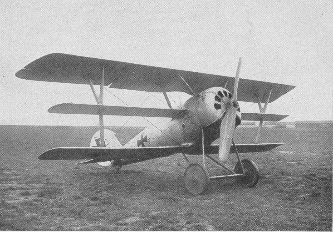 Pfalz Dr.I from the front 