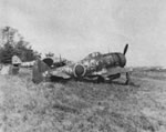 Nakajima Ki-44 Shoki 'Tojo' on edge of airfield 