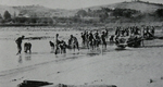 German POWs captured near the Metauro 