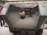 Sd.Kfz 251 Half Track from the rear 